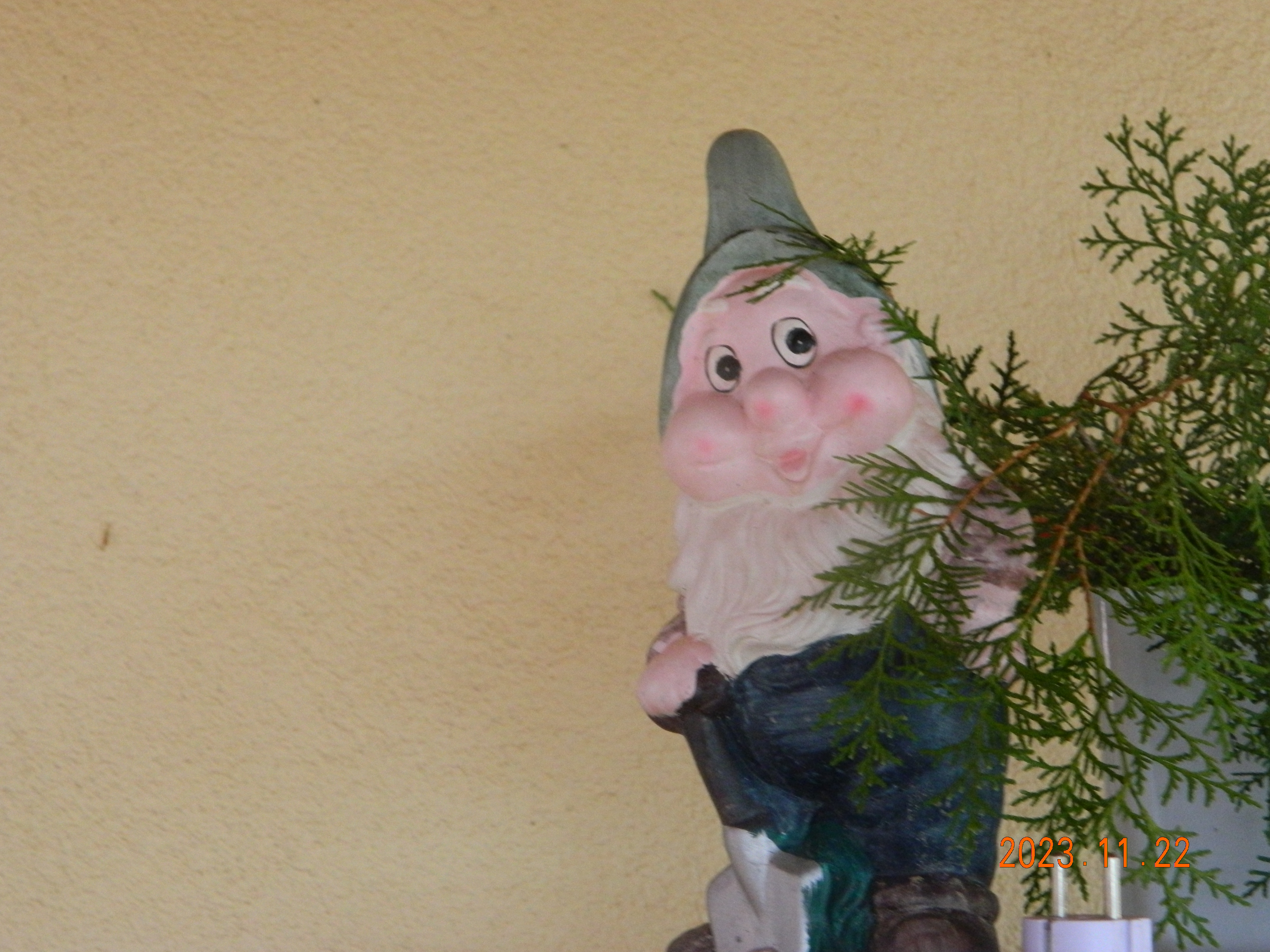 Őszi fáradtság és alvászavarok – miért jelentkeznek, és hogyan segíthetnek a gyógynövények?